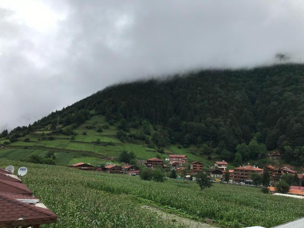 Anemo Suite Uzungöl Kültér fotó